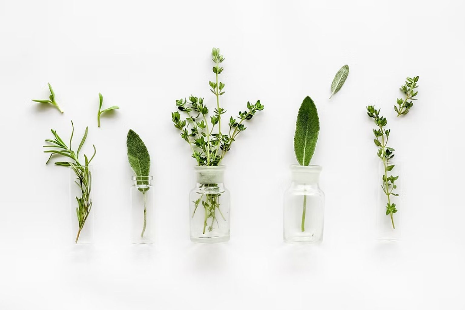 11062b_1499ac4ba2fa4fc587288e744dee896c~mv2